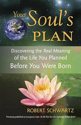 Robert Schwartz' book "Your Soul's Plan"